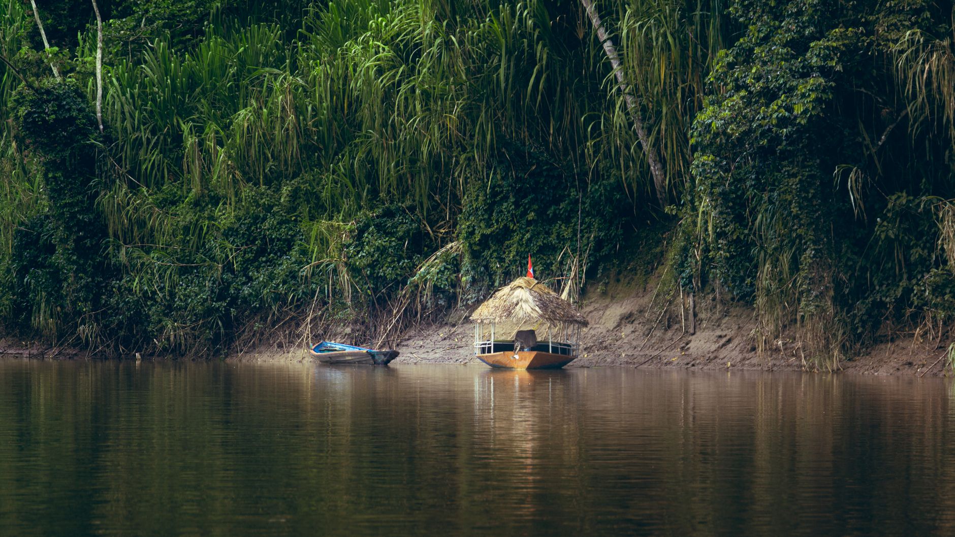 Floresta Amazônica e rio